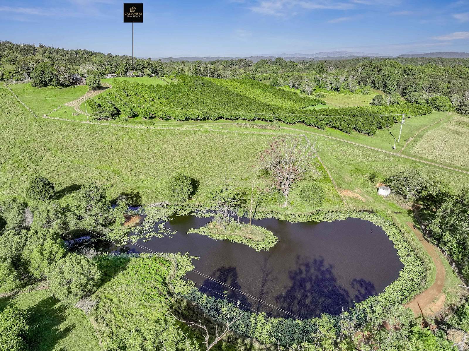 428 Shadbolt Road, Mothar Mountain For Sale by Farmbuy.com - image 16