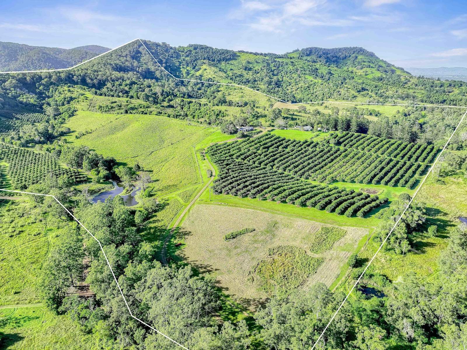 428 Shadbolt Road, Mothar Mountain For Sale by Farmbuy.com - image 29