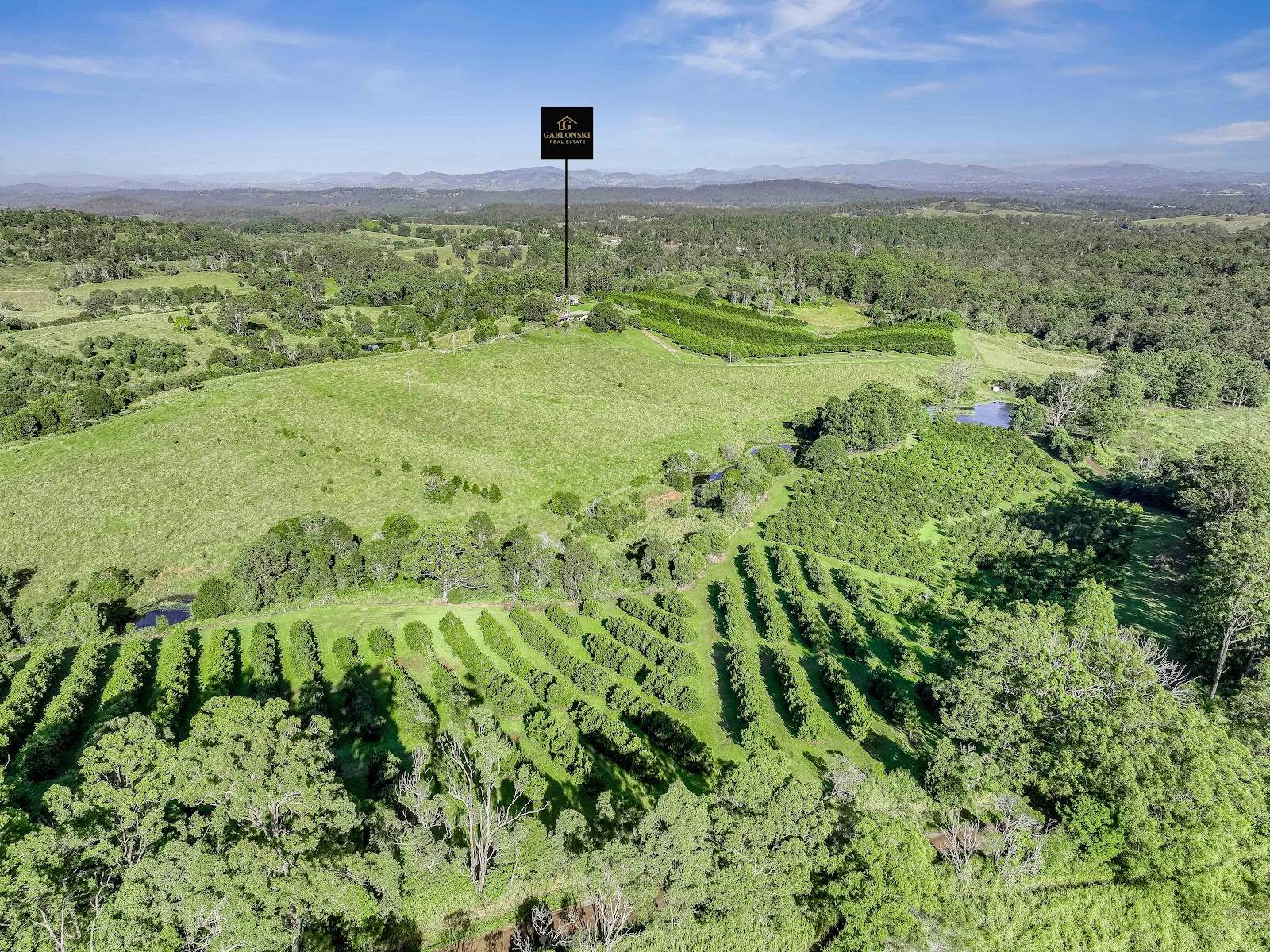 428 Shadbolt Road, Mothar Mountain For Sale by Farmbuy.com - image 24