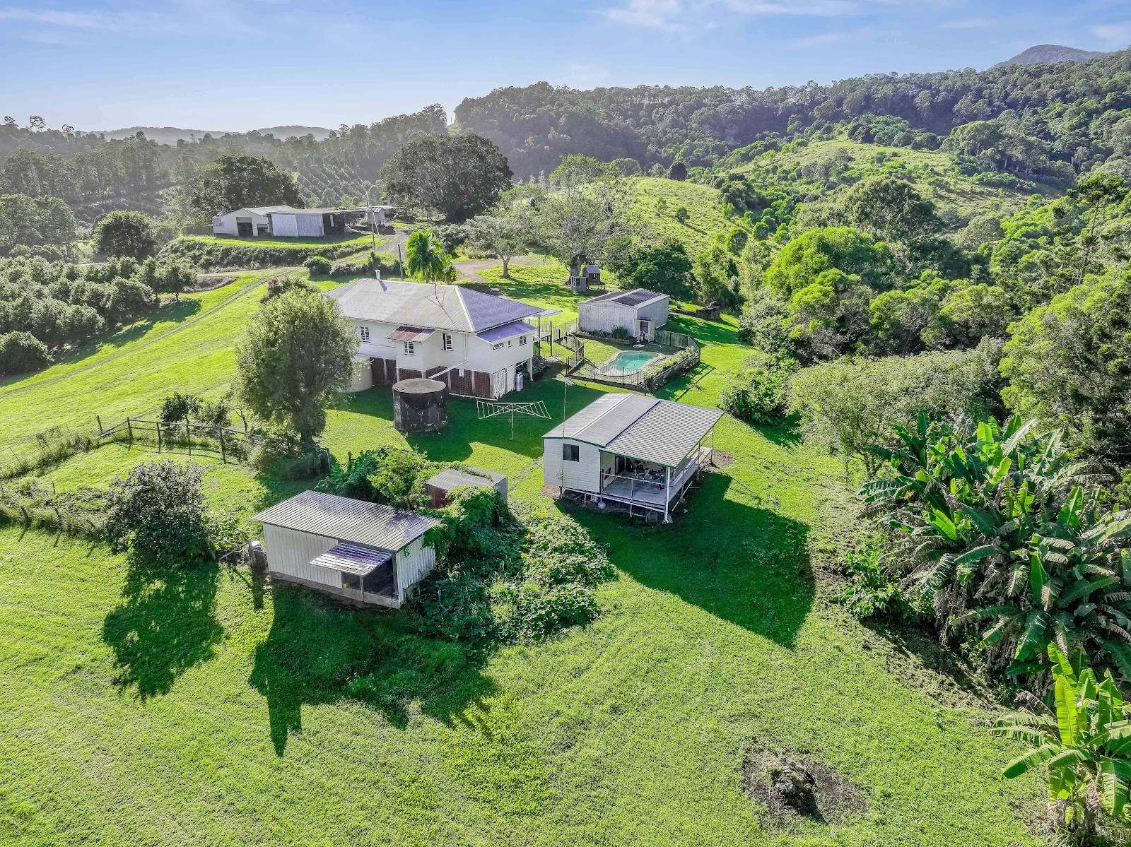 428 Shadbolt Road, Mothar Mountain For Sale by Farmbuy.com - image 9