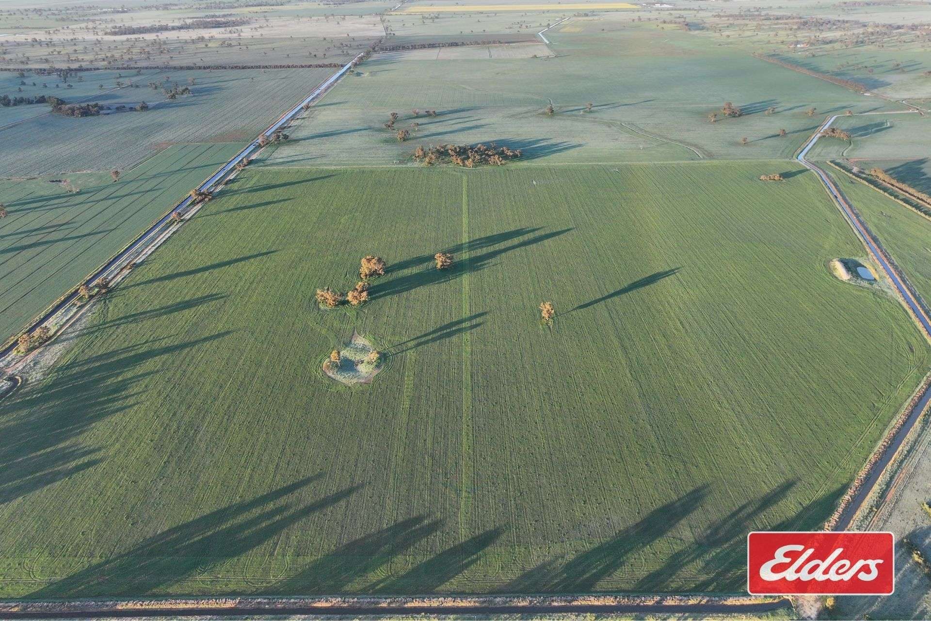 Bunnaloo Road, Moama For Sale by Farmbuy.com - image 15