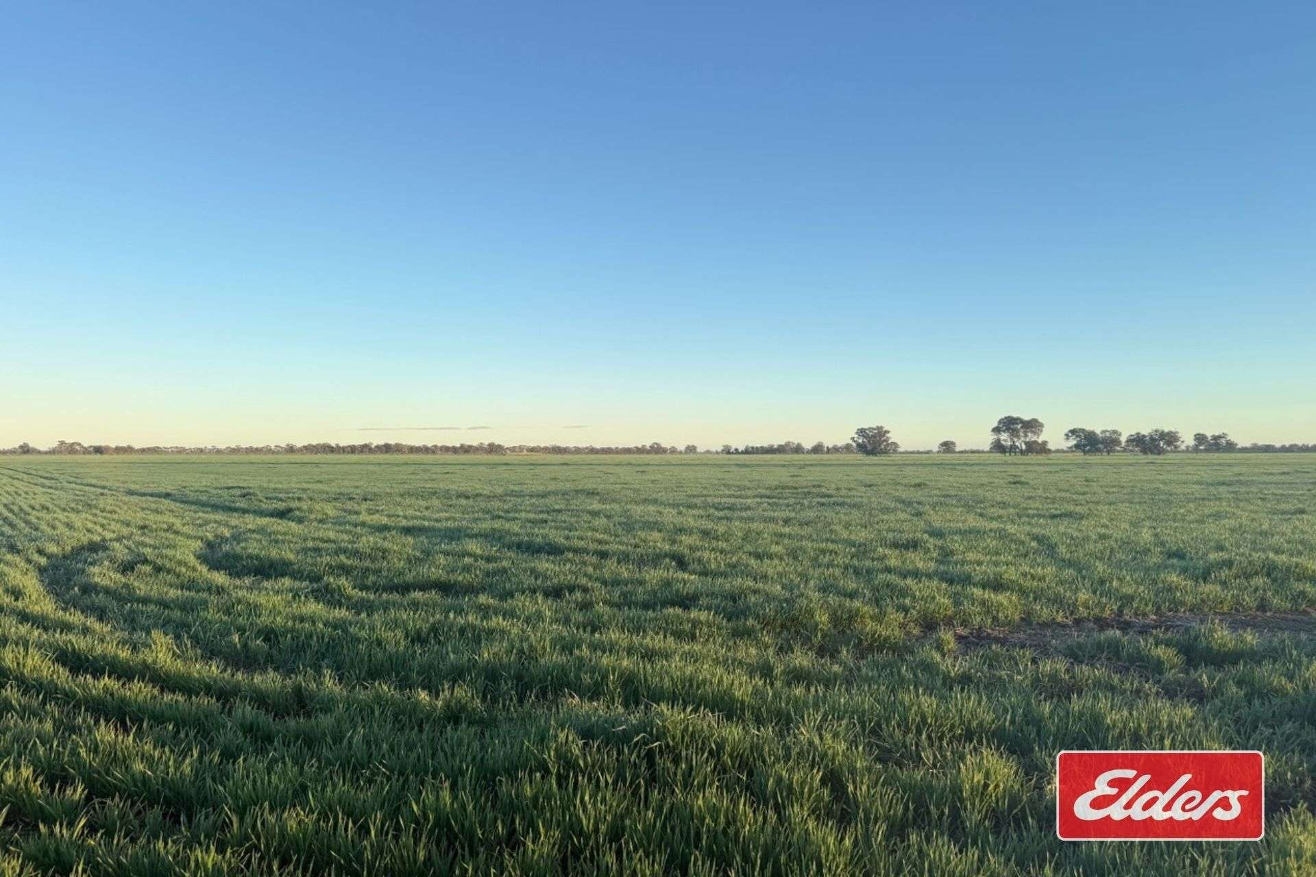 Bunnaloo Road, Moama For Sale by Farmbuy.com - image 21