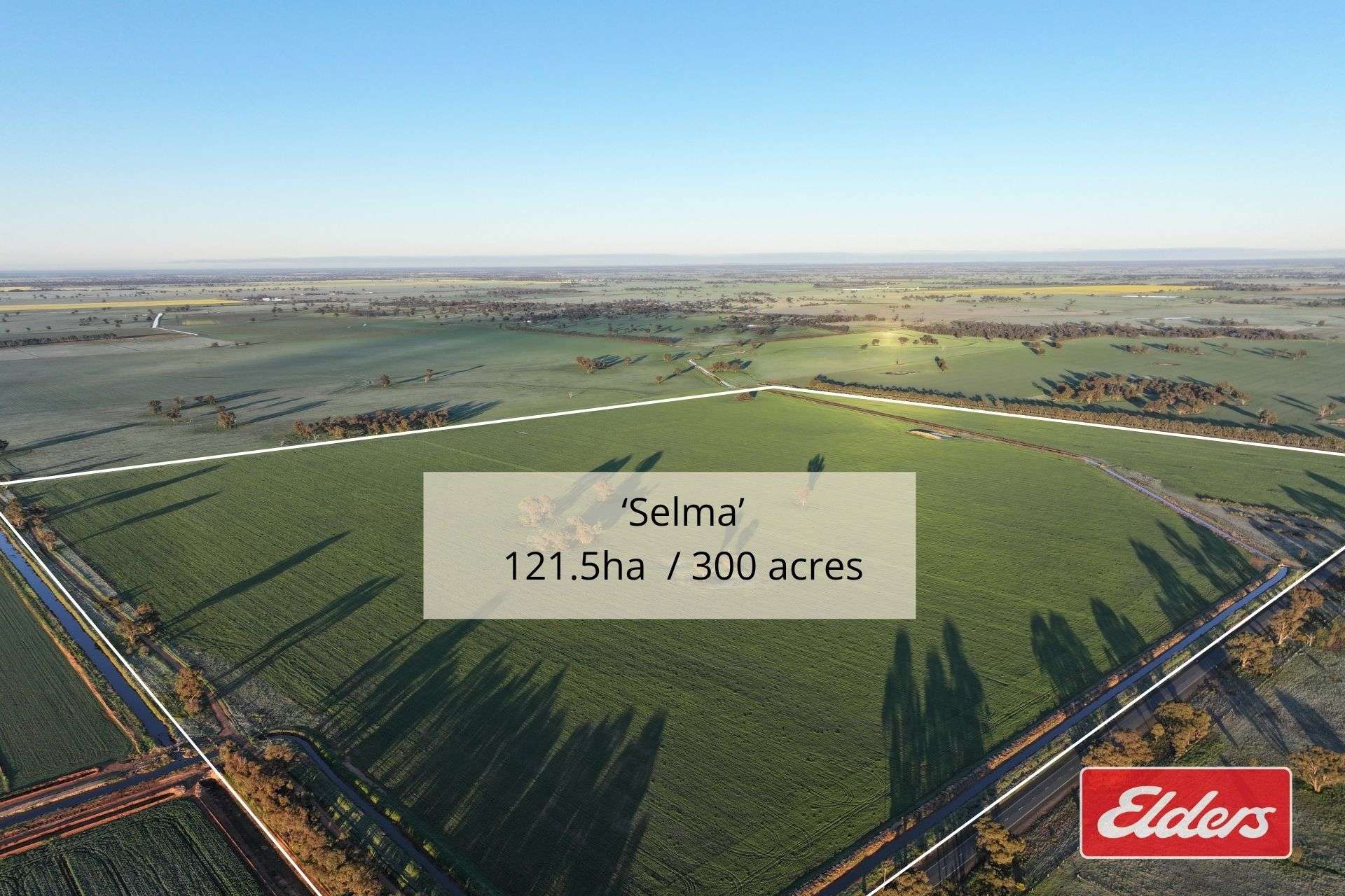 Bunnaloo Road, Moama For Sale by Farmbuy.com - image 19