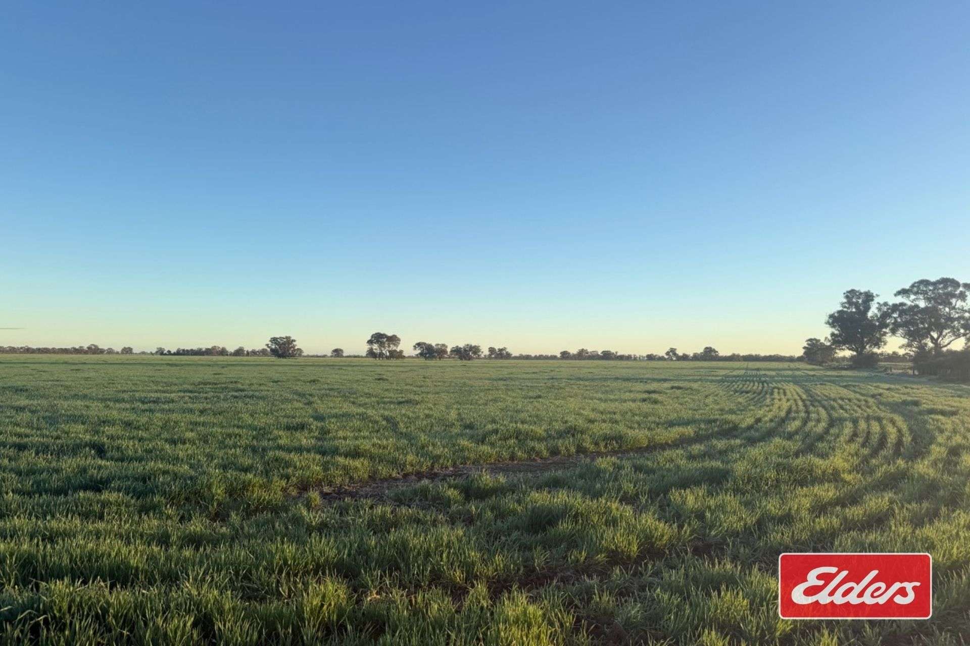 Bunnaloo Road, Moama For Sale by Farmbuy.com - image 24