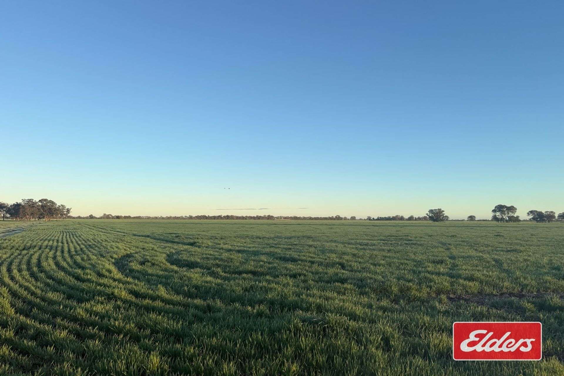 Bunnaloo Road, Moama For Sale by Farmbuy.com - image 16