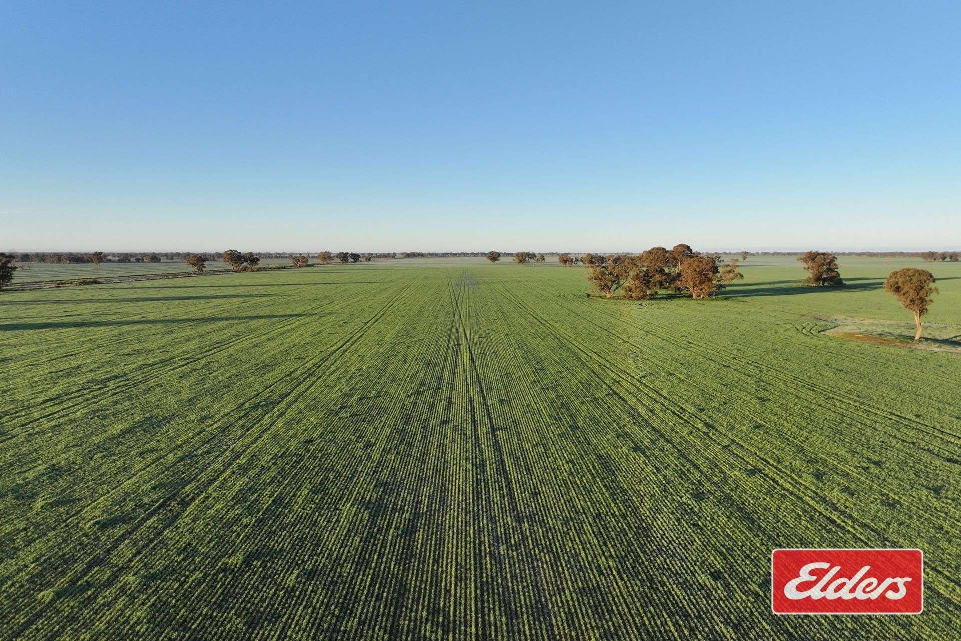 Bunnaloo Road, Moama For Sale by Farmbuy.com - image 17