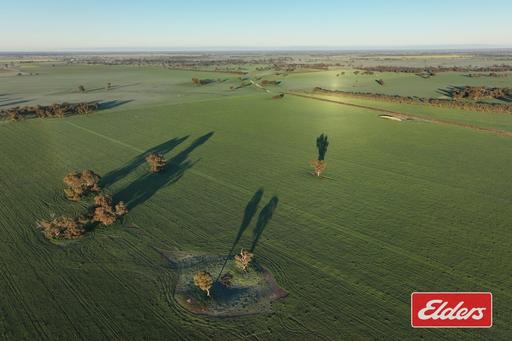 Farm For Sale - NSW - Moama - 2731 - Allan Aggregation (Part)
497.1 Hectares (1,228 Acres) Across Three Holdings 