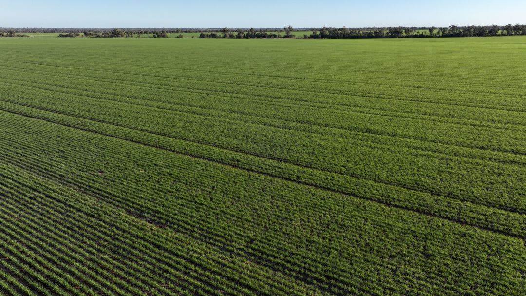 Billandrie West, Pallamallawa For Sale by Farmbuy.com - image 1