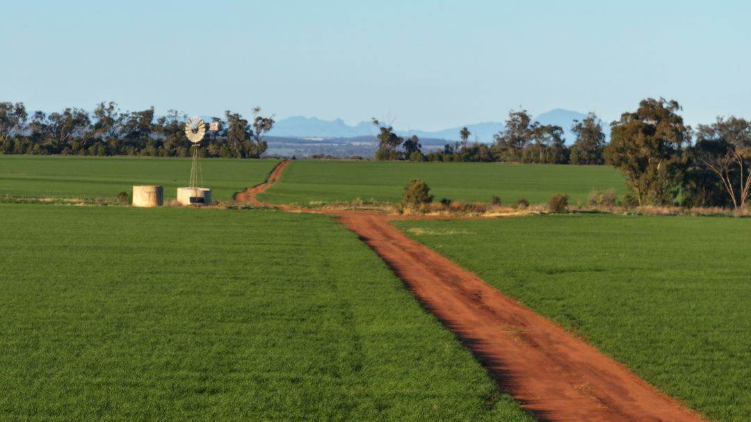 Billandrie West, Pallamallawa For Sale by Farmbuy.com - image 4