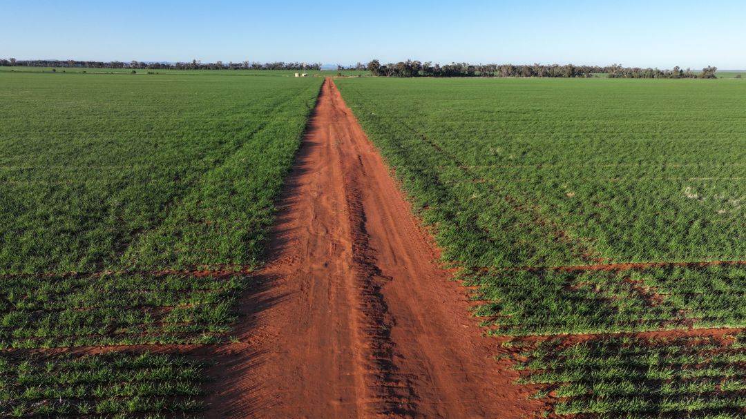 Billandrie West, Pallamallawa For Sale by Farmbuy.com - image 3