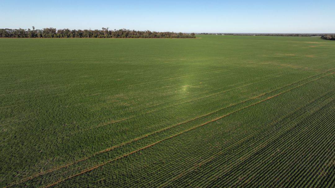 Billandrie West, Pallamallawa For Sale by Farmbuy.com - image 23