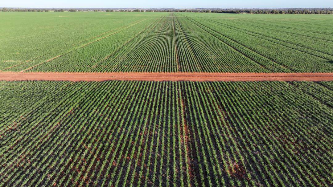 Billandrie West, Pallamallawa For Sale by Farmbuy.com - image 8