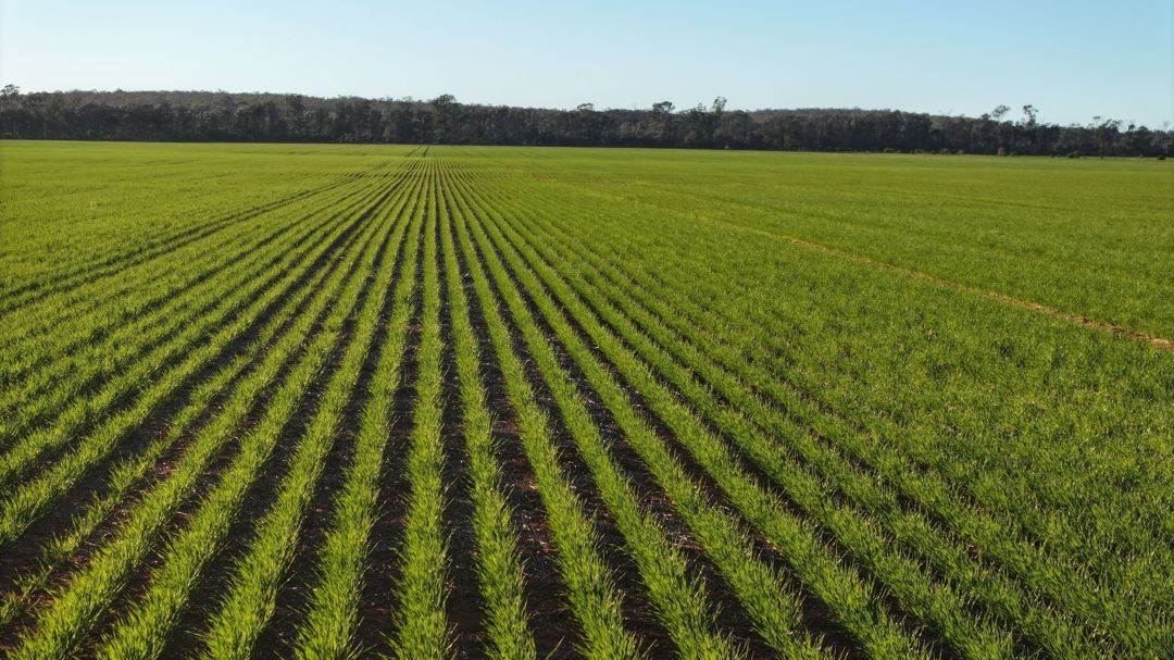 Billandrie West, Pallamallawa For Sale by Farmbuy.com - image 2