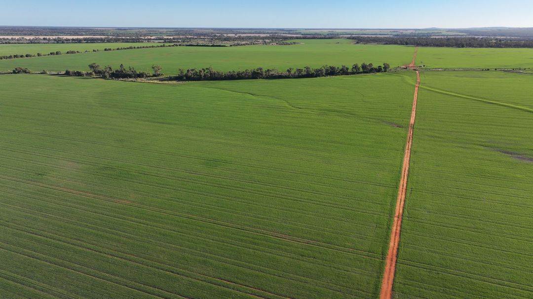 Billandrie West, Pallamallawa For Sale by Farmbuy.com - image 25
