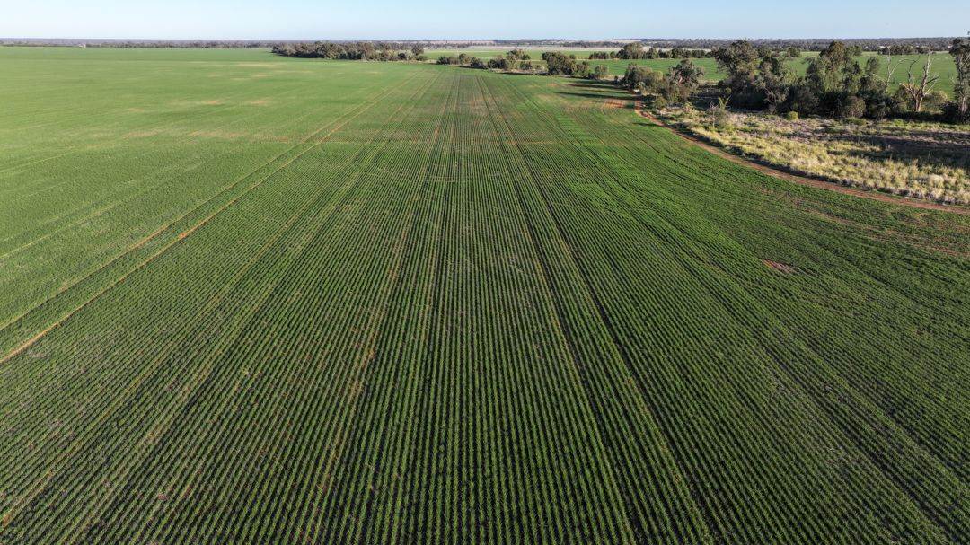 Billandrie West, Pallamallawa For Sale by Farmbuy.com - image 22