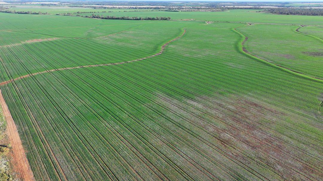 Billandrie West, Pallamallawa For Sale by Farmbuy.com - image 16