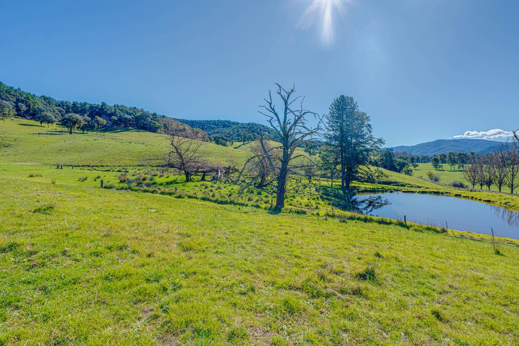 Lot 1 Merriang Homestead Road, Myrtleford VIC 3737