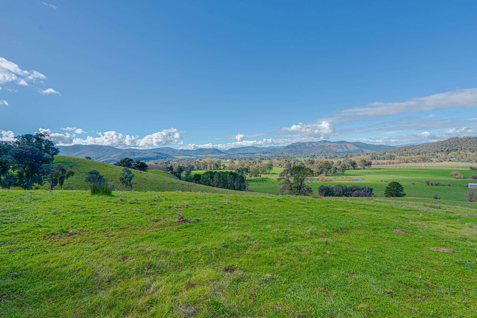 Lot 1 Merriang Homestead Road, Myrtleford For Sale by Farmbuy.com - image 11