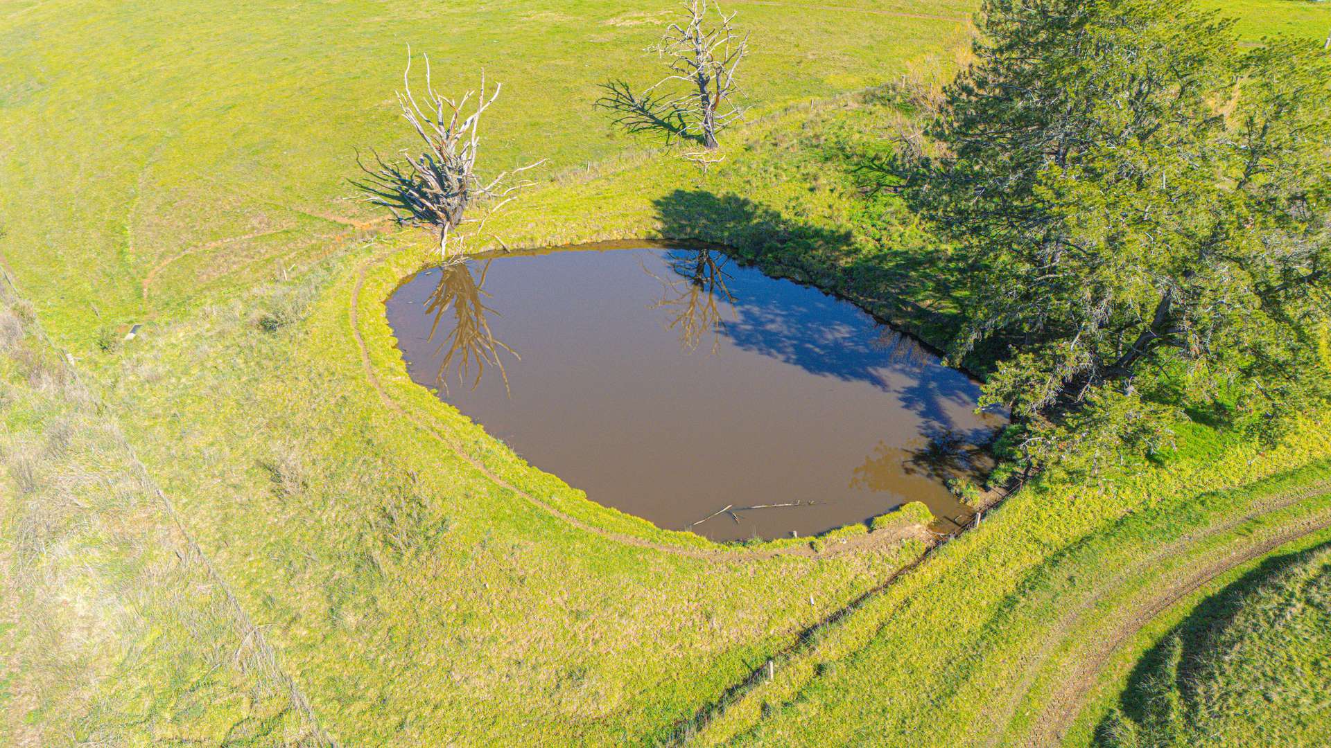 Lot 1 Merriang Homestead Road, Myrtleford For Sale by Farmbuy.com - image 4