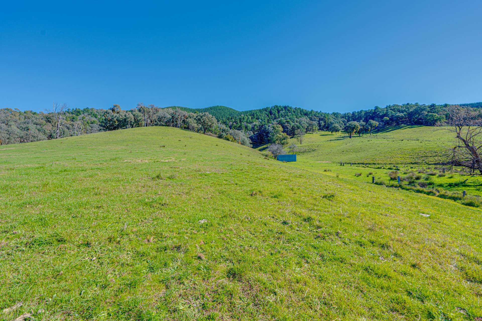 Lot 1 Merriang Homestead Road, Myrtleford For Sale by Farmbuy.com - image 8