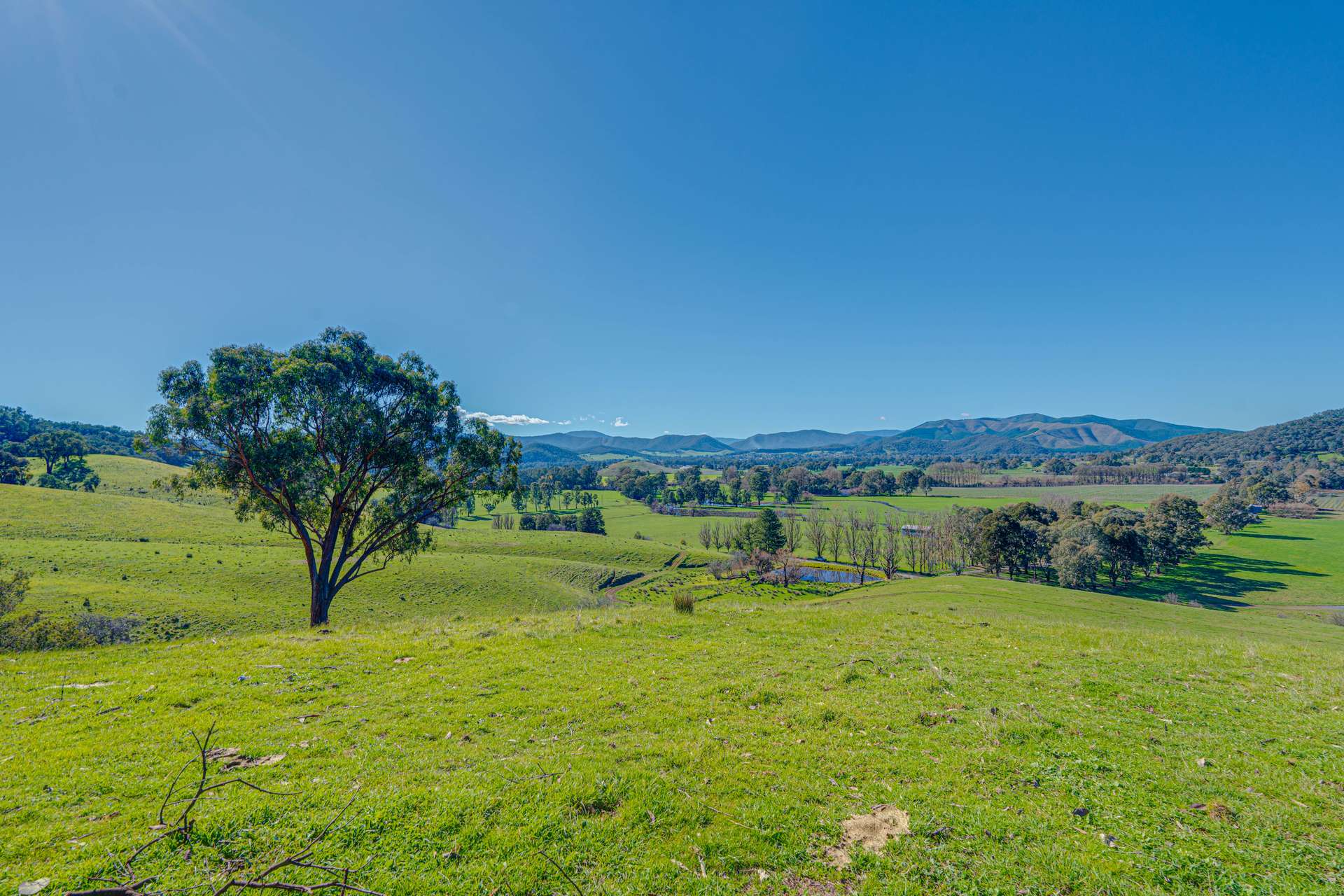 Lot 1 Merriang Homestead Road, Myrtleford For Sale by Farmbuy.com - image 17