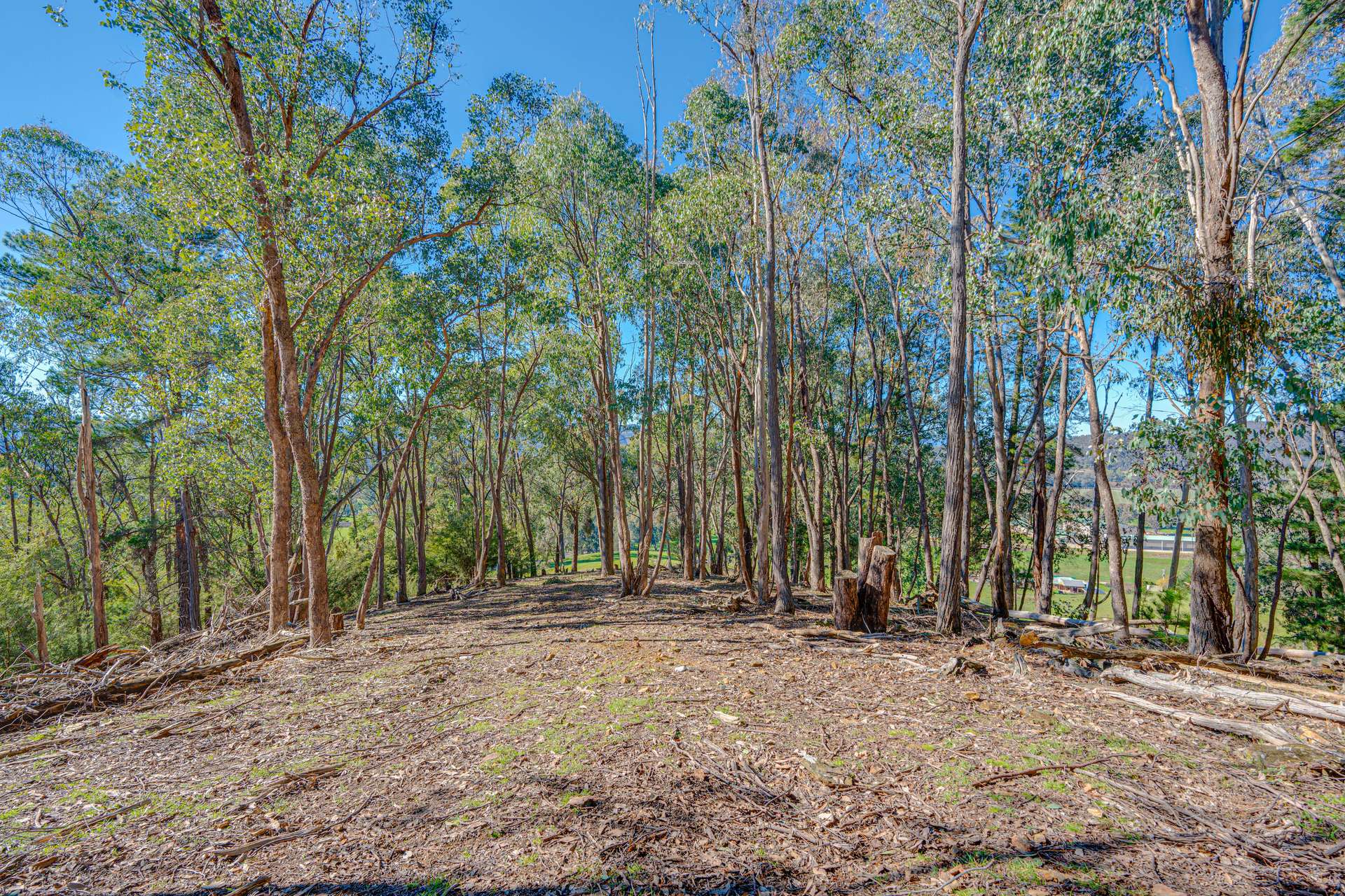 Lot 1 Merriang Homestead Road, Myrtleford For Sale by Farmbuy.com - image 22