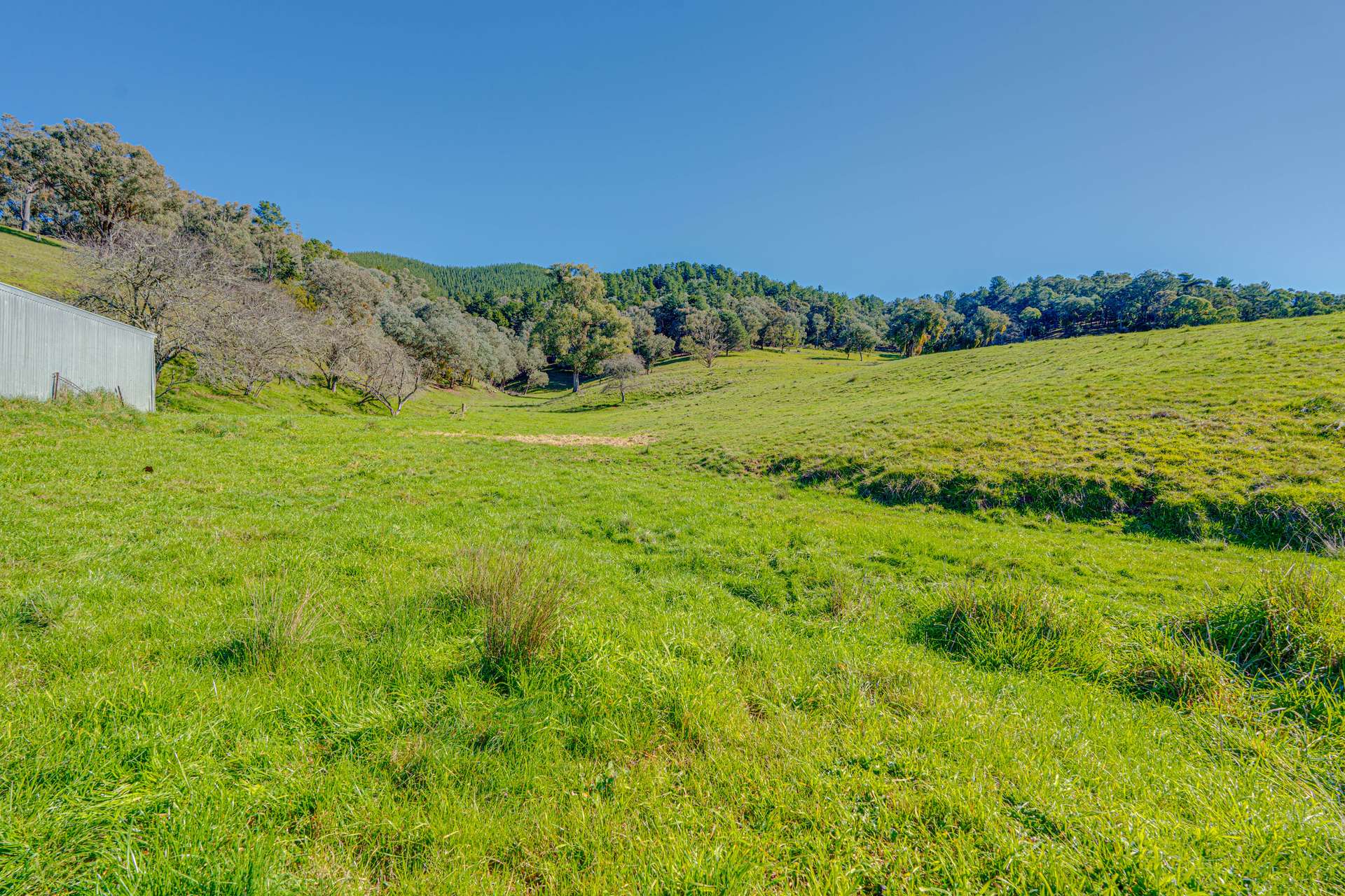 Lot 1 Merriang Homestead Road, Myrtleford For Sale by Farmbuy.com - image 5