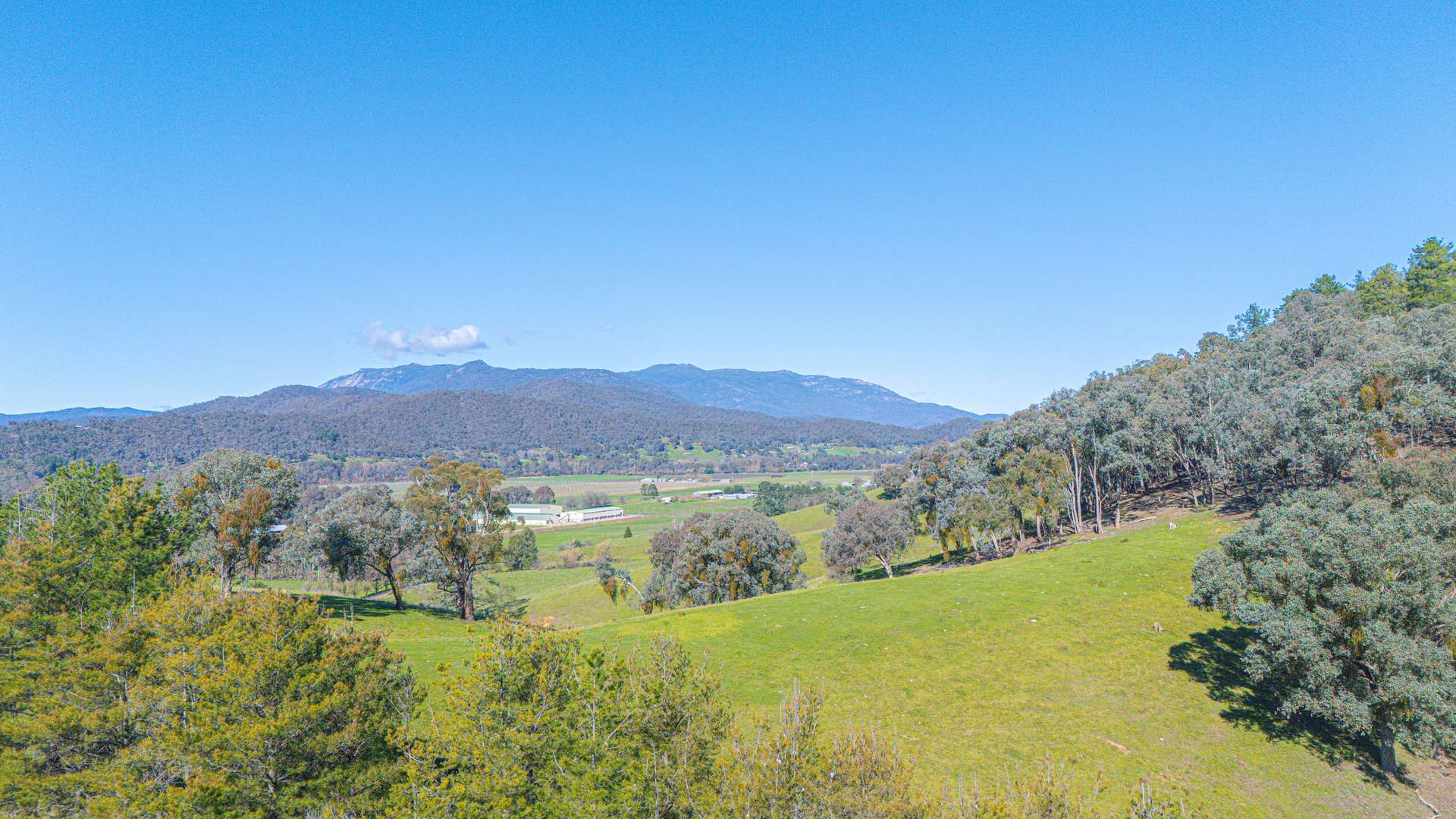 Lot 1 Merriang Homestead Road, Myrtleford For Sale by Farmbuy.com - image 9