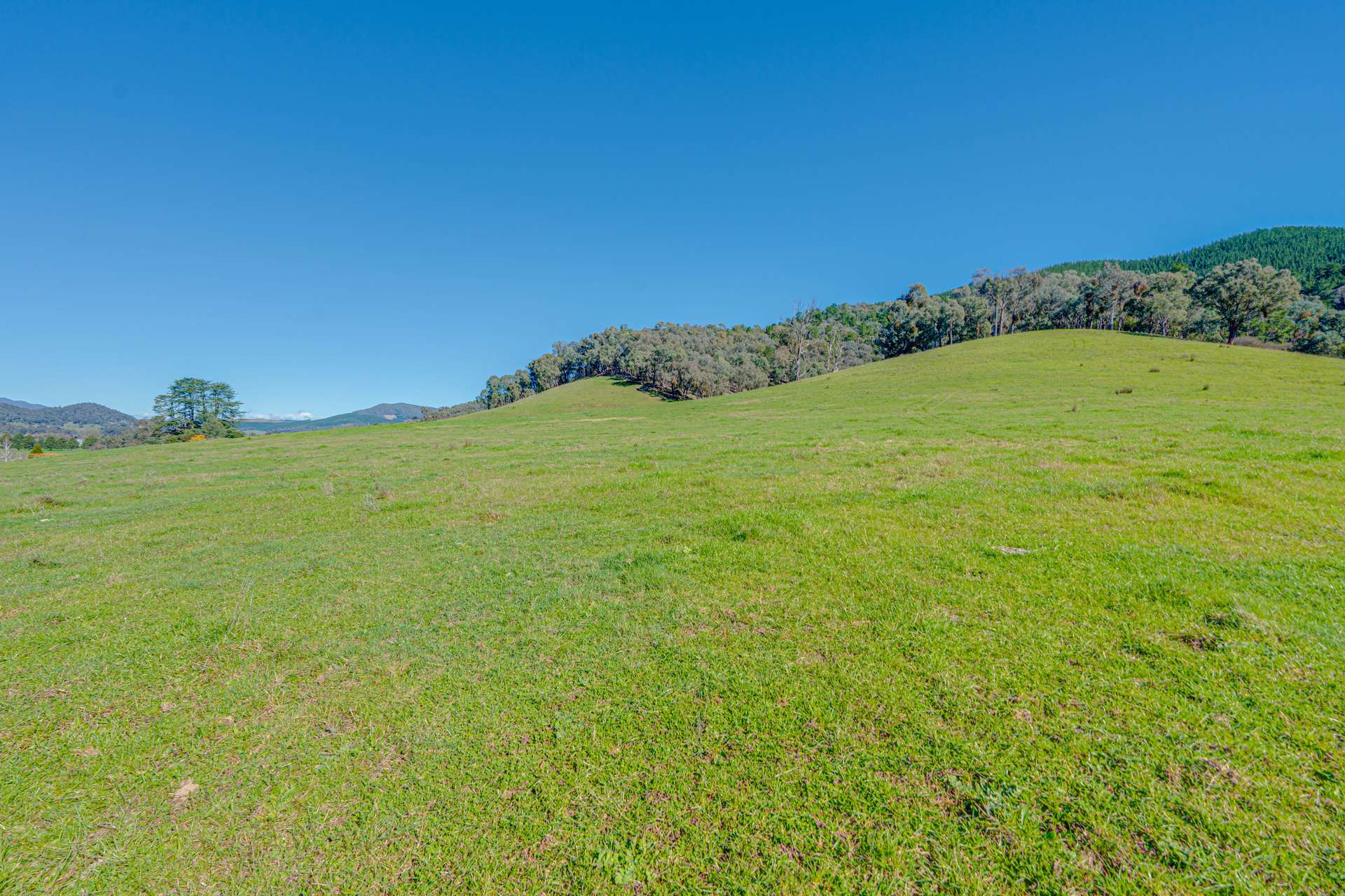 Lot 1 Merriang Homestead Road, Myrtleford For Sale by Farmbuy.com - image 13