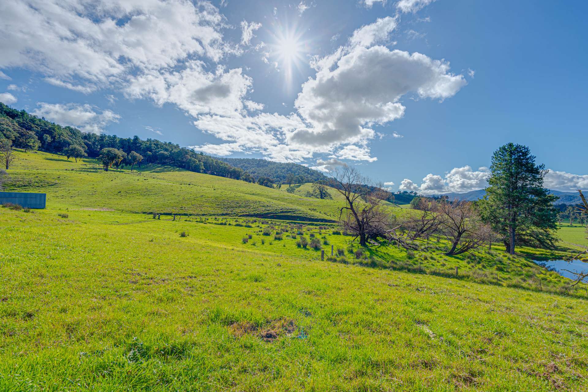 Lot 1 Merriang Homestead Road, Myrtleford For Sale by Farmbuy.com - image 2