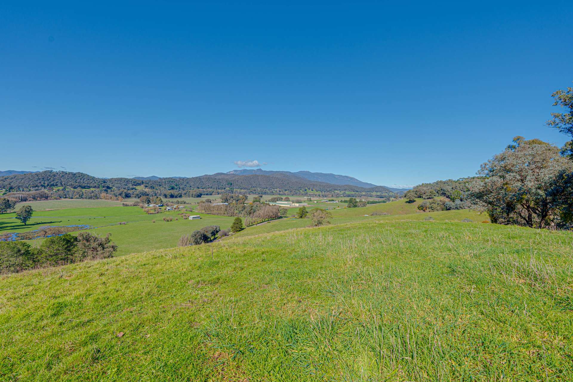 Lot 1 Merriang Homestead Road, Myrtleford For Sale by Farmbuy.com - image 19