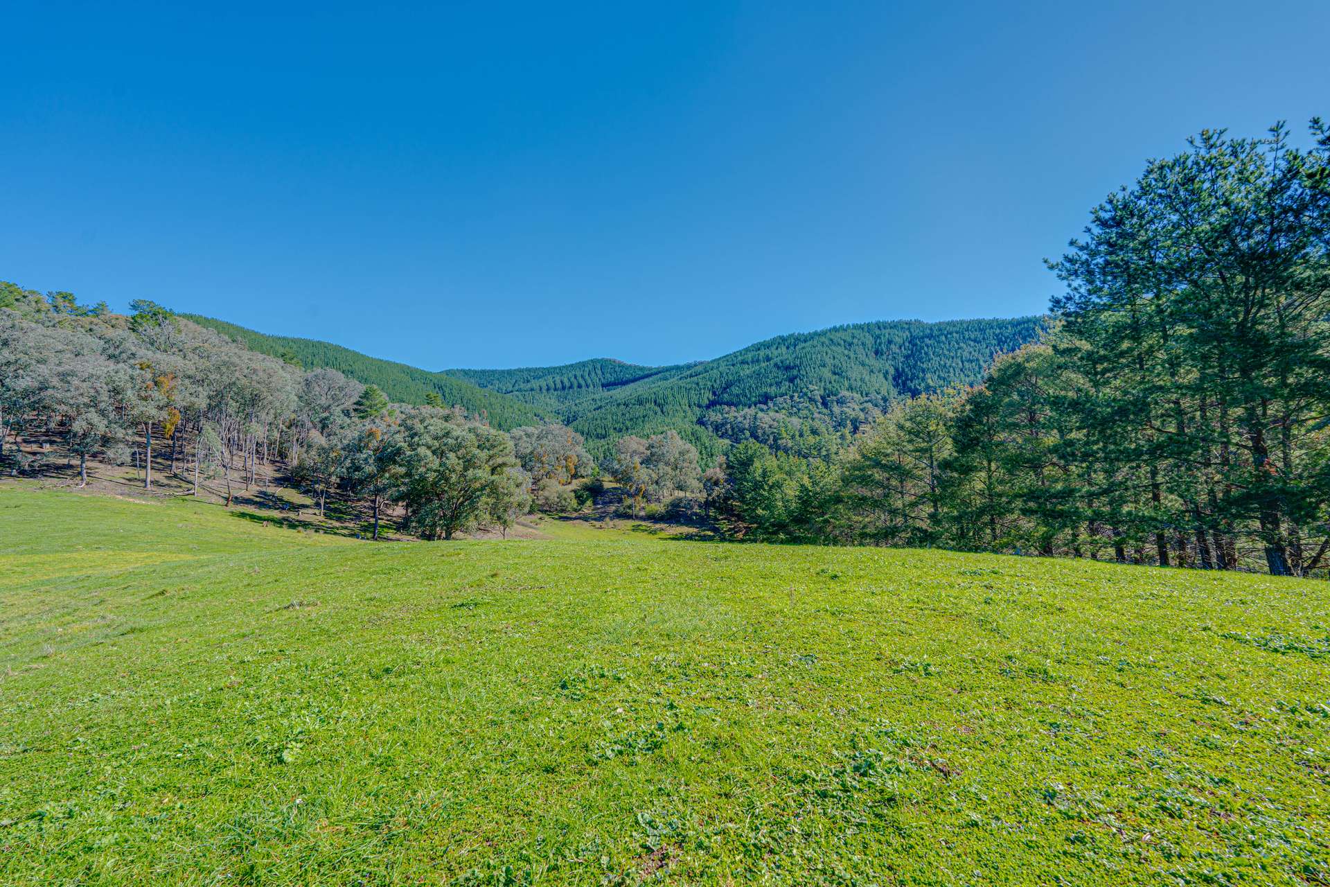 Lot 1 Merriang Homestead Road, Myrtleford For Sale by Farmbuy.com - image 23