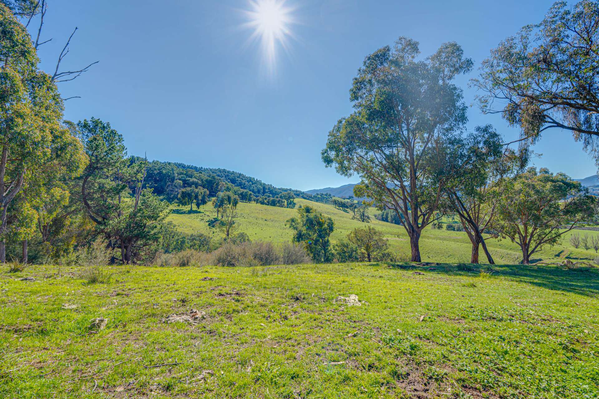 Lot 1 Merriang Homestead Road, Myrtleford For Sale by Farmbuy.com - image 16