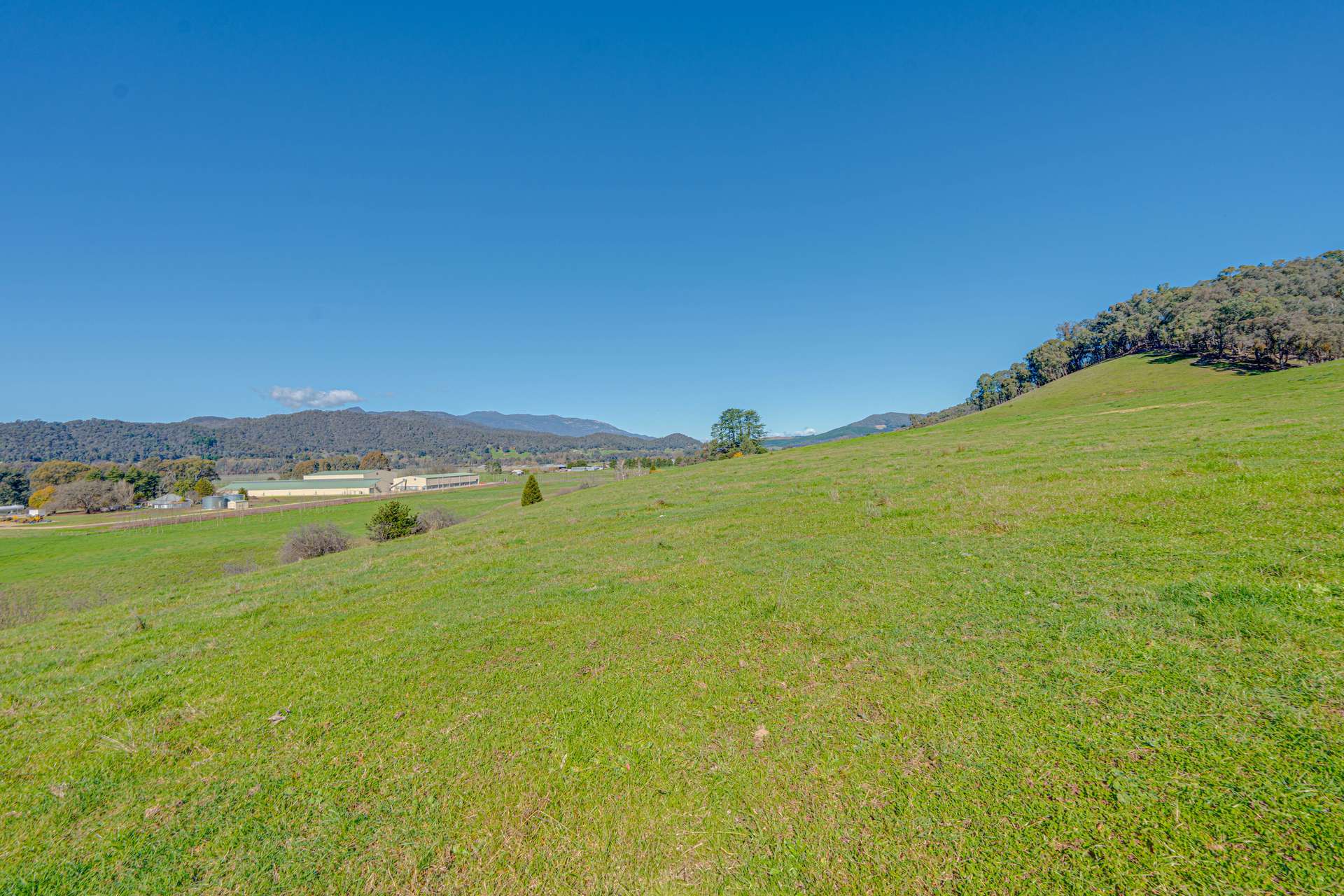 Lot 1 Merriang Homestead Road, Myrtleford For Sale by Farmbuy.com - image 18