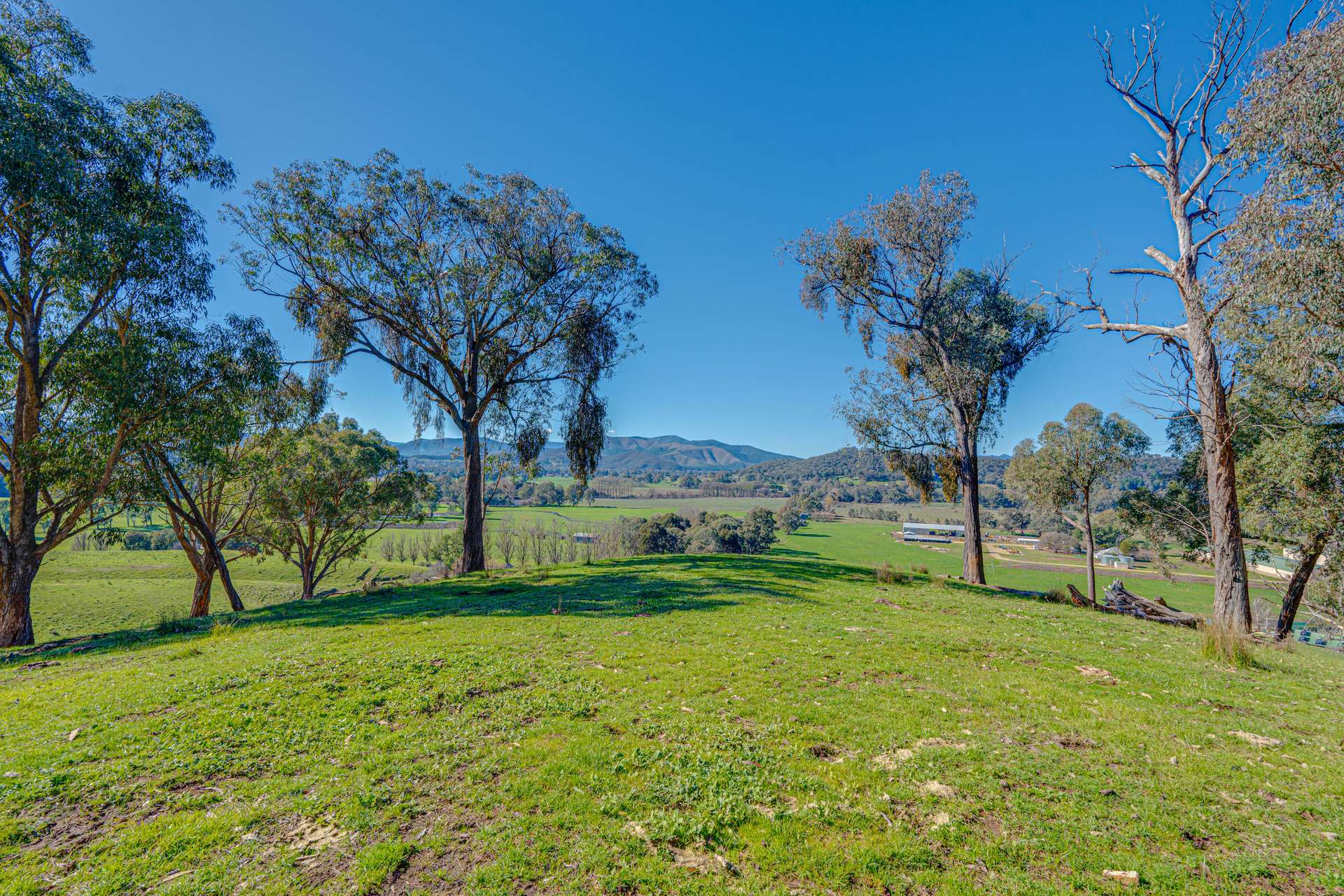 Lot 1 Merriang Homestead Road, Myrtleford For Sale by Farmbuy.com - image 15