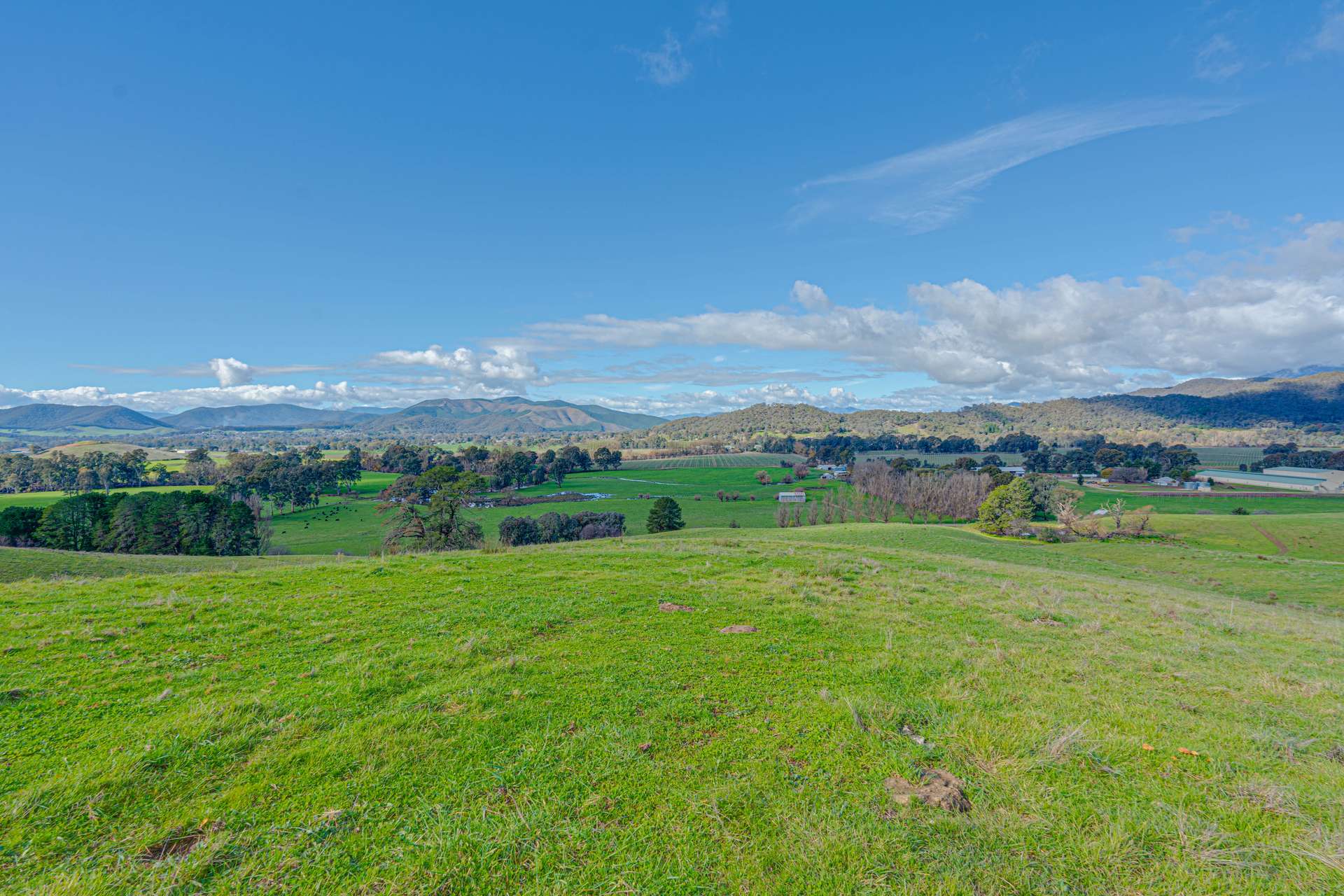 Lot 1 Merriang Homestead Road, Myrtleford For Sale by Farmbuy.com - image 12