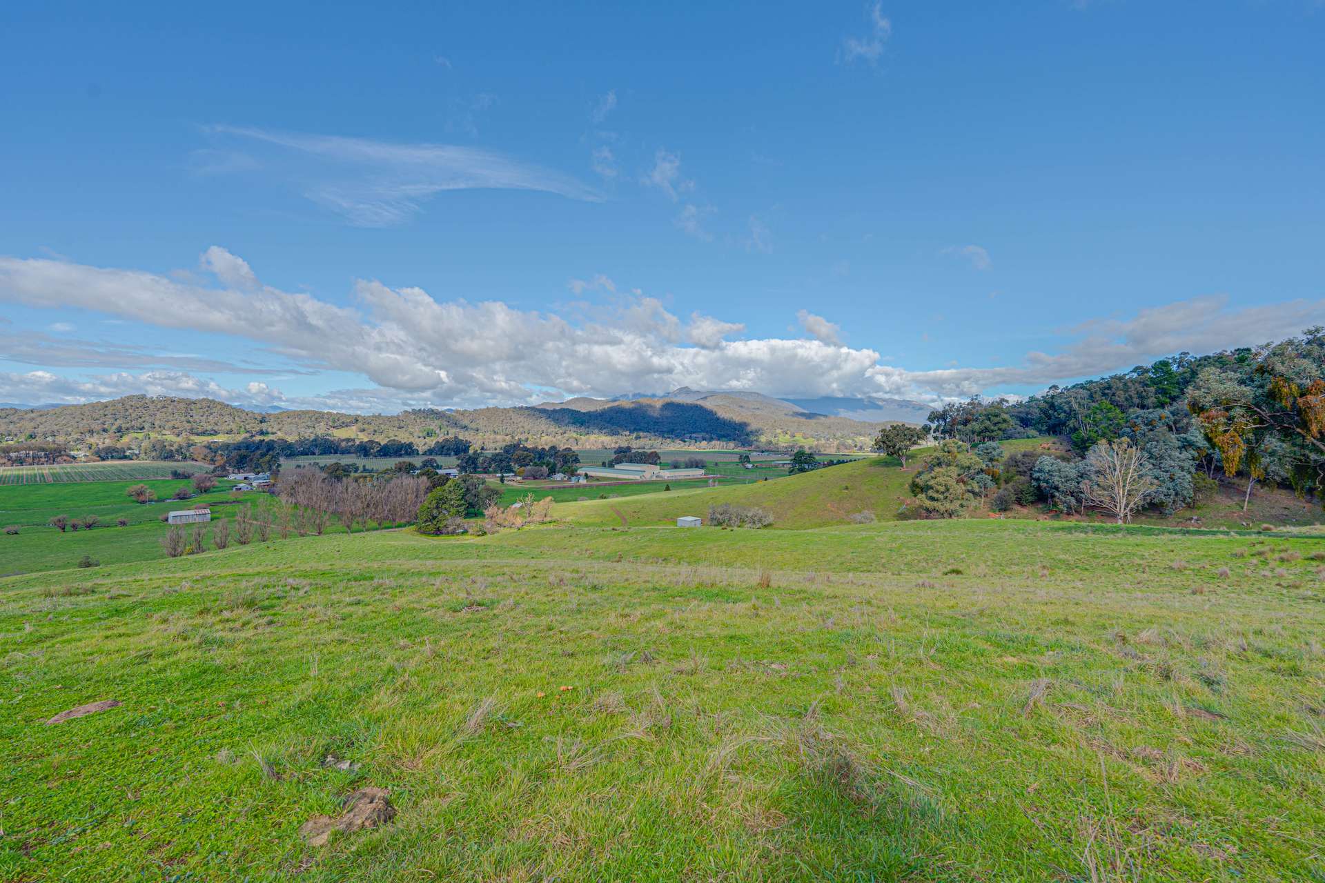 Lot 1 Merriang Homestead Road, Myrtleford For Sale by Farmbuy.com - image 14