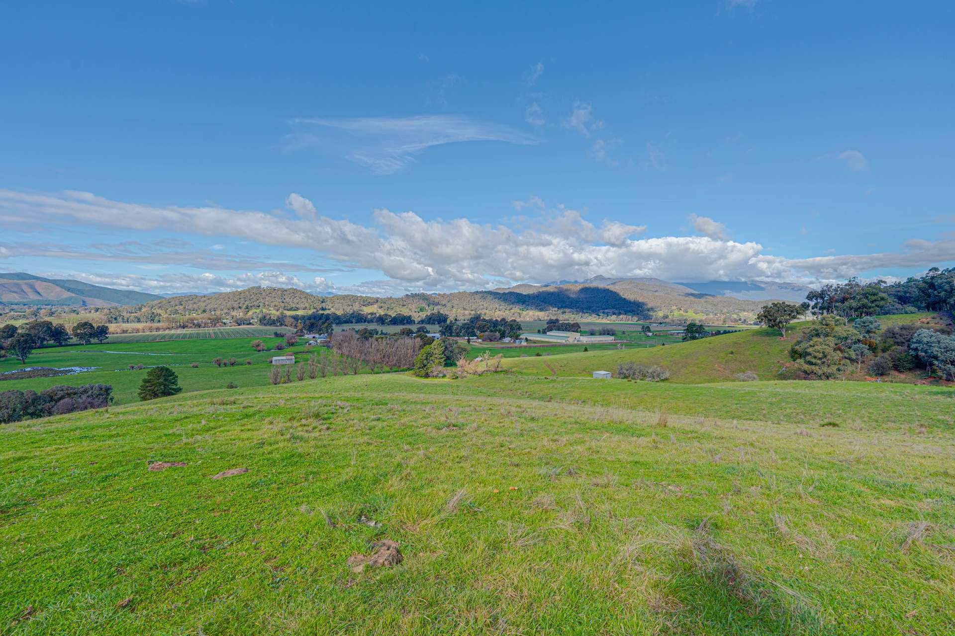 Lot 1 Merriang Homestead Road, Myrtleford For Sale by Farmbuy.com - image 10
