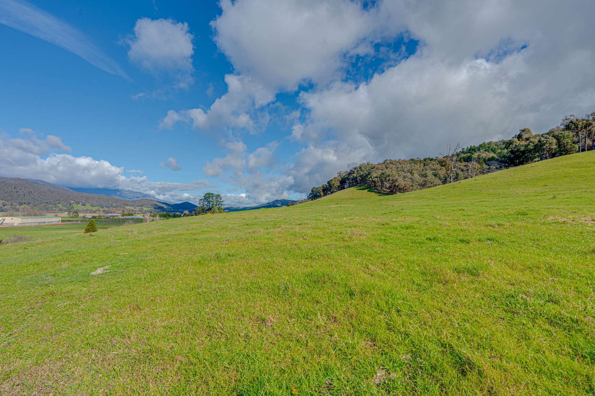Lot 1 Merriang Homestead Road, Myrtleford For Sale by Farmbuy.com - image 6