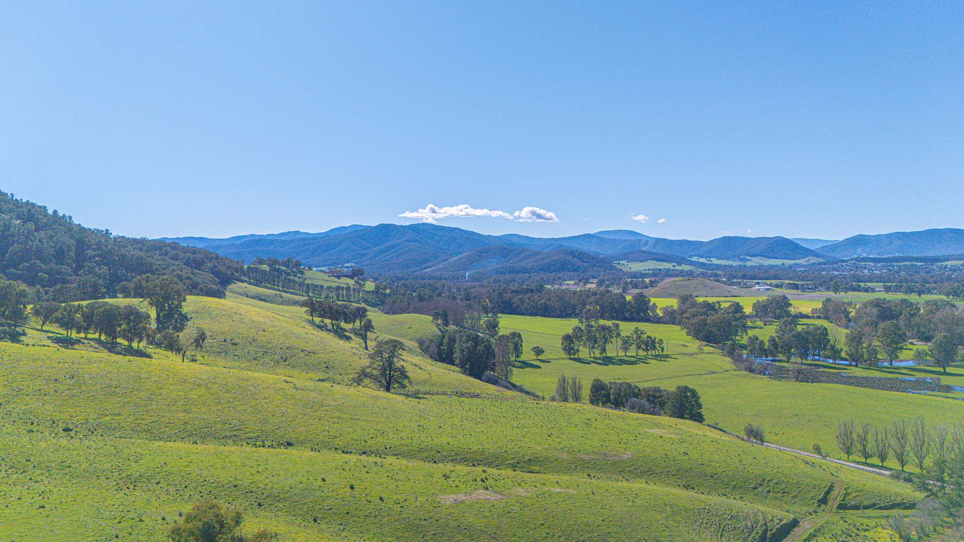 Lot 1 Merriang Homestead Road, Myrtleford For Sale by Farmbuy.com - image 7