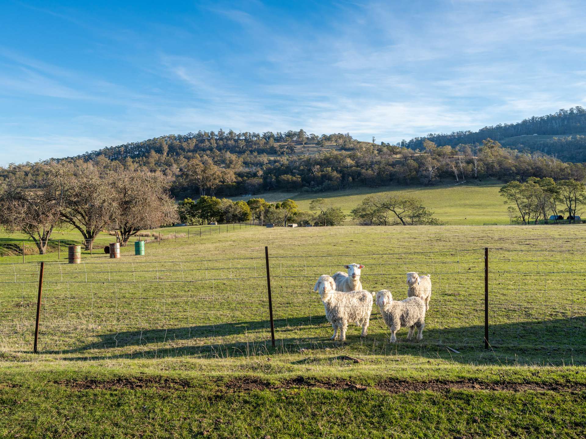 199 Williams Road, Tea Tree For Sale by Farmbuy.com - image 29