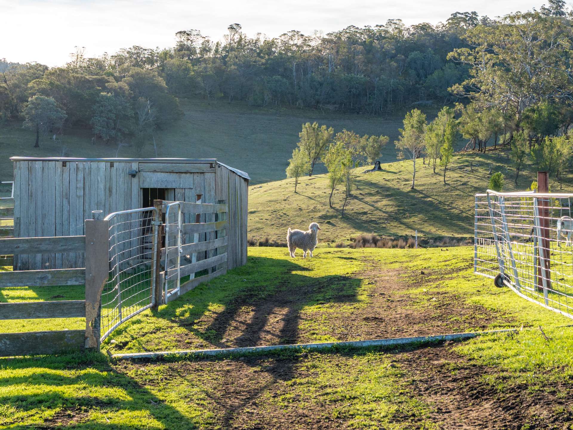 199 Williams Road, Tea Tree For Sale by Farmbuy.com - image 23