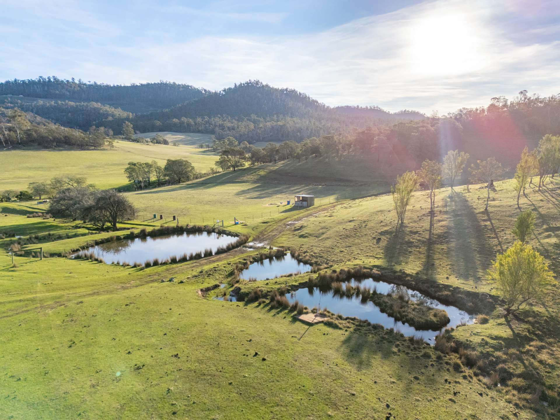 199 Williams Road, Tea Tree For Sale by Farmbuy.com - image 15