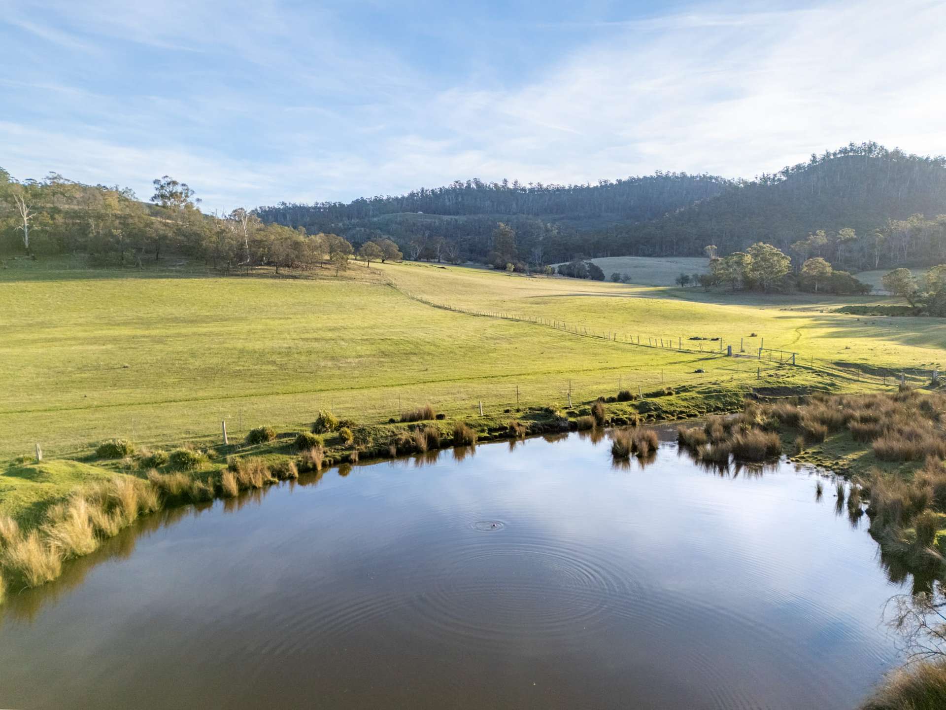 199 Williams Road, Tea Tree For Sale by Farmbuy.com - image 22