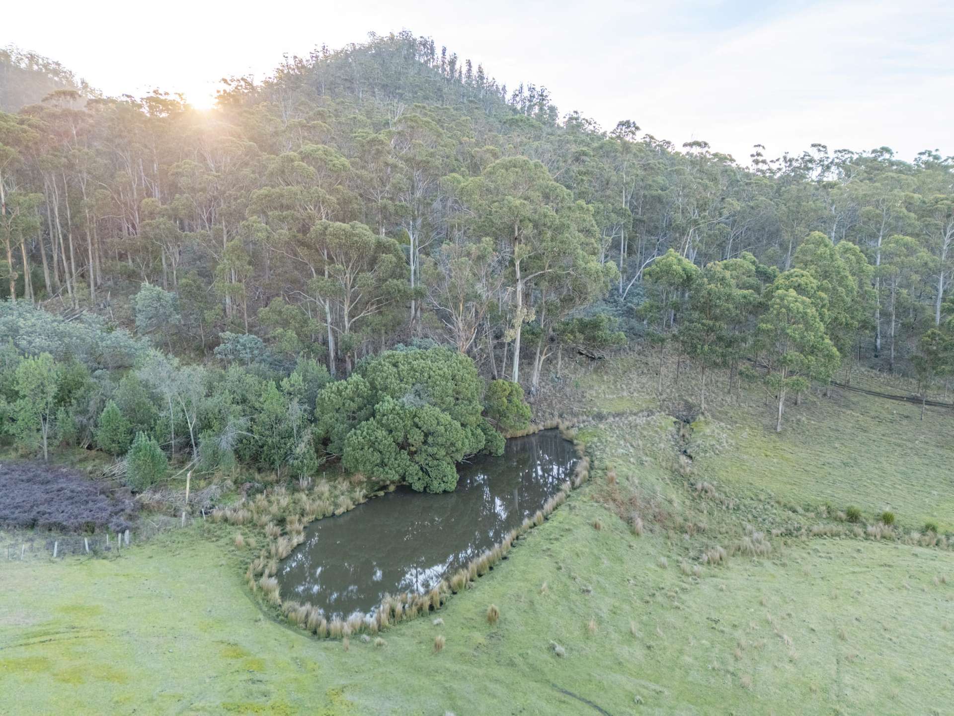 199 Williams Road, Tea Tree For Sale by Farmbuy.com - image 17