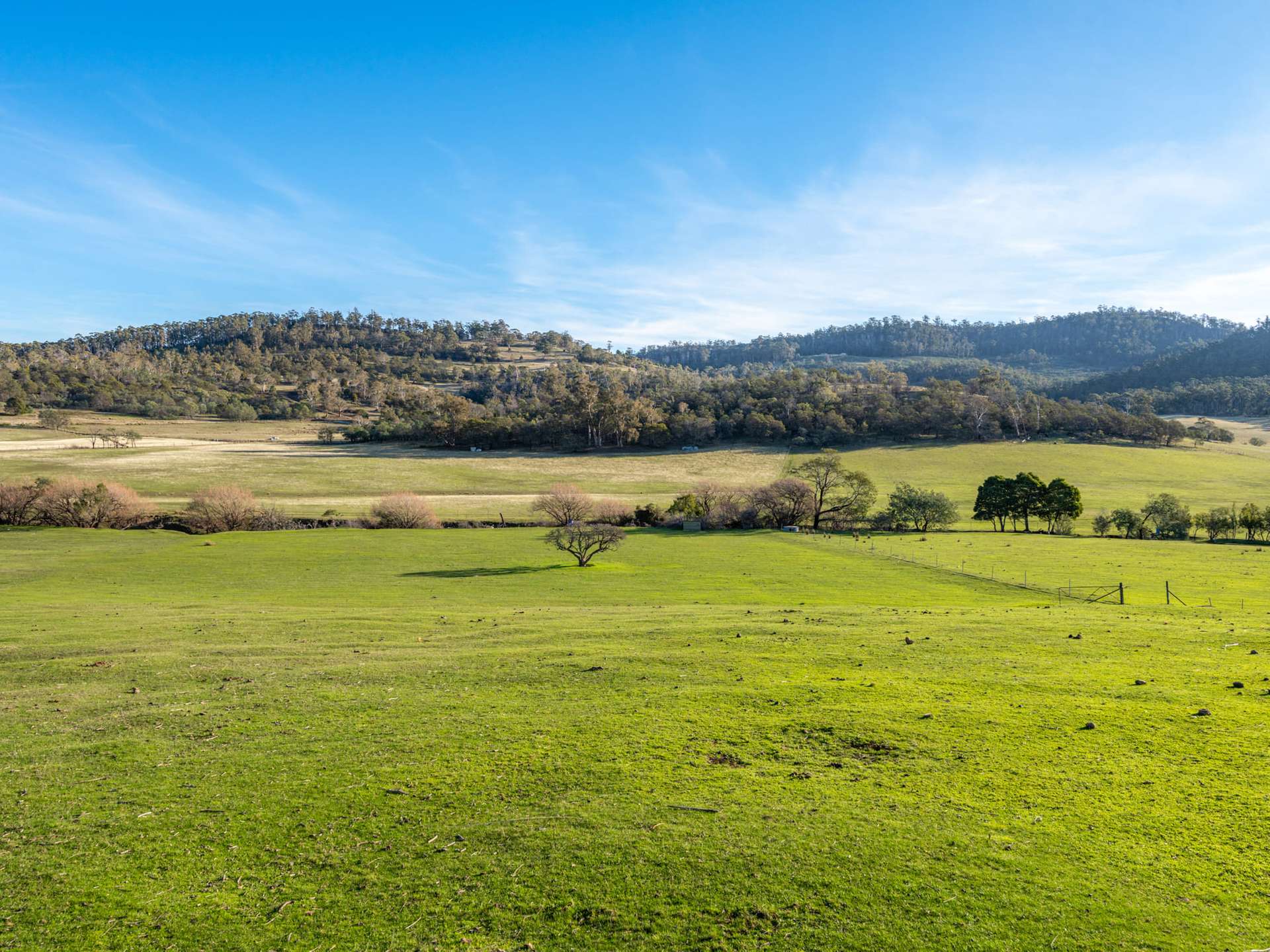 199 Williams Road, Tea Tree For Sale by Farmbuy.com - image 14