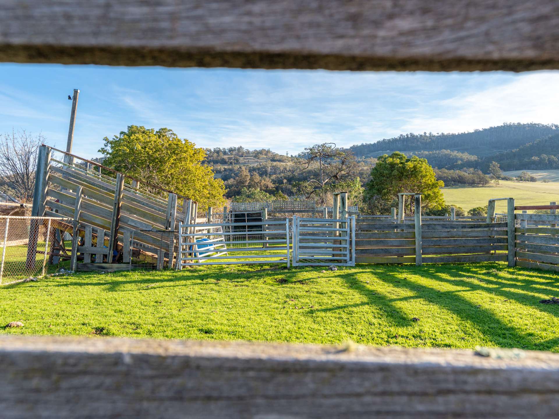 199 Williams Road, Tea Tree For Sale by Farmbuy.com - image 24