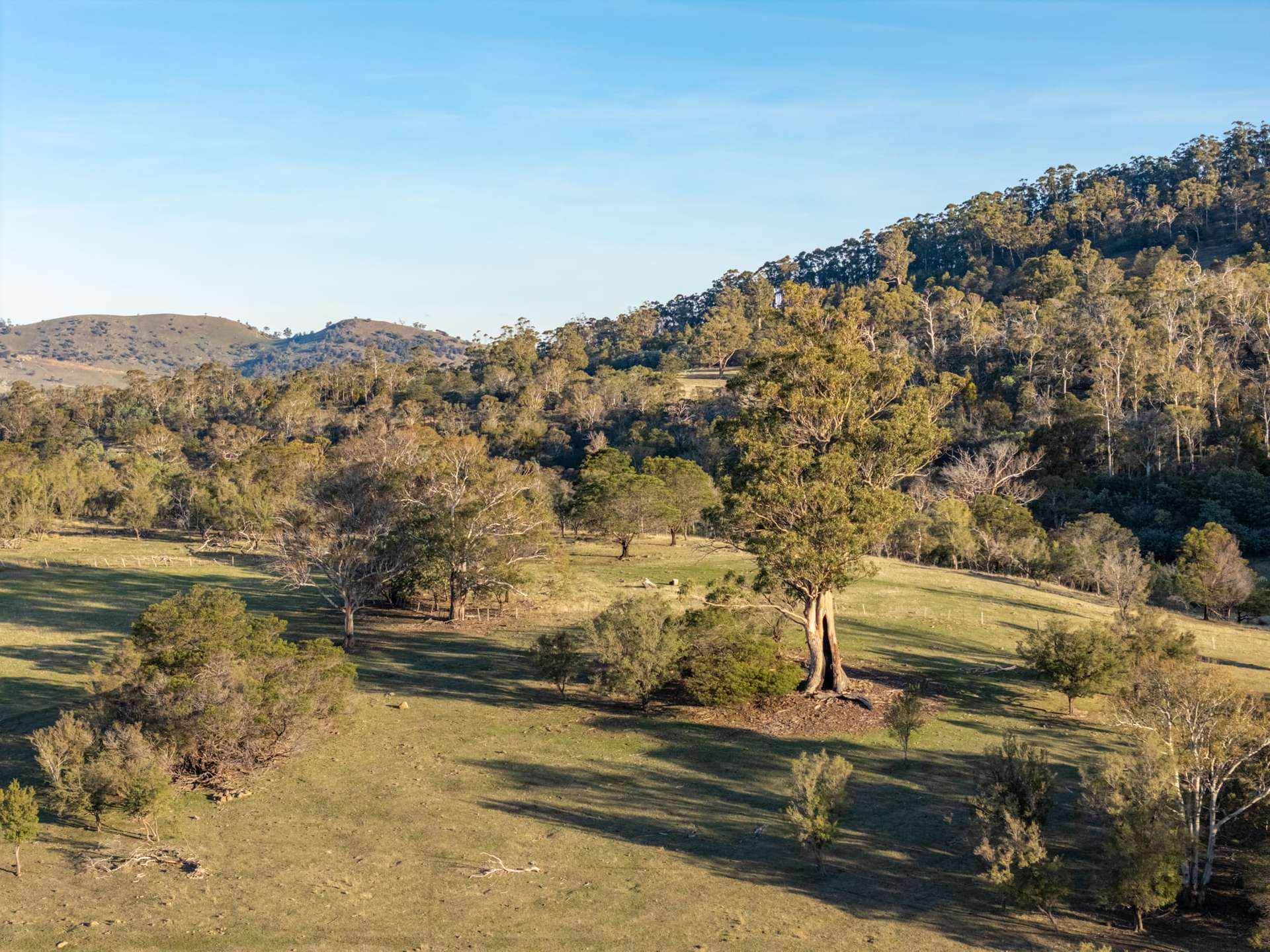 199 Williams Road, Tea Tree For Sale by Farmbuy.com - image 18