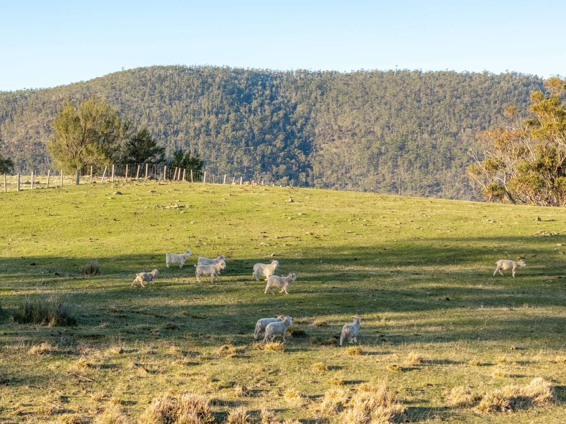 199 Williams Road, Tea Tree For Sale by Farmbuy.com - image 20