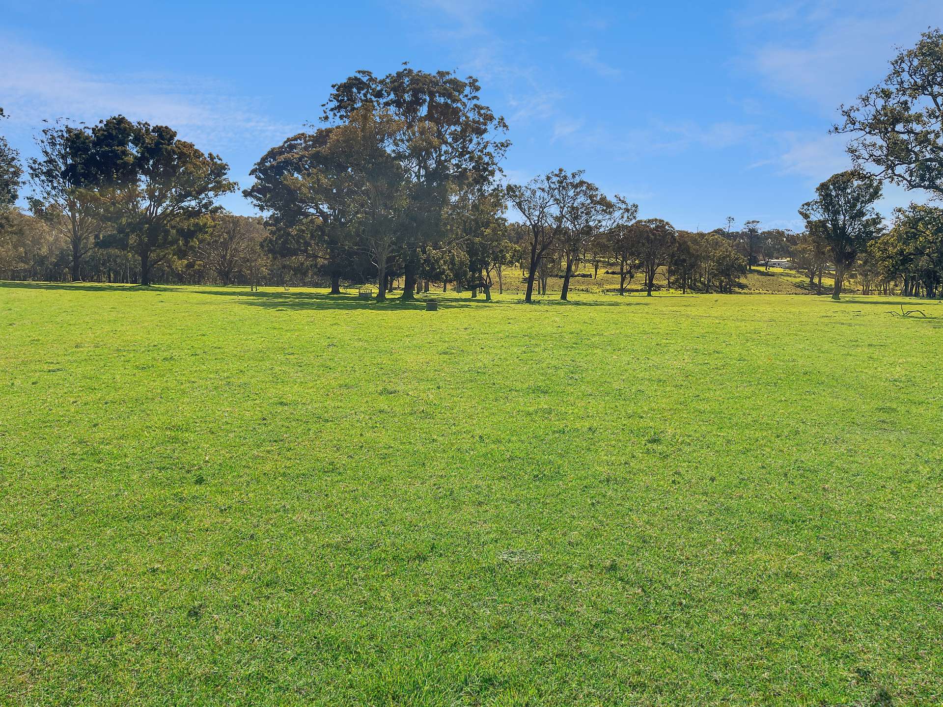 1 Tenterfield Street, Liston For Sale by Farmbuy.com - image 13